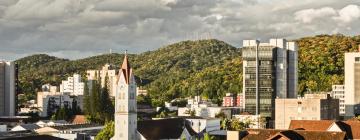 Cheap vacations in Joinville