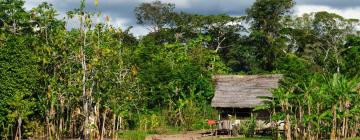 Zboruri de la București la Iquitos