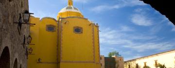 Guest Houses in San Luis Potosí