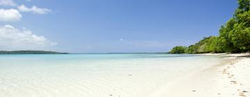 Πτήσεις από Tanna Island προς Luganville