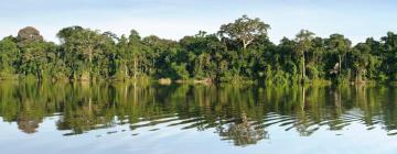 Lodges in Tarapoto