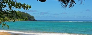 Khách sạn ở Tanna Island