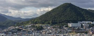 Hoteles que aceptan mascotas en Yeosu