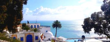 Hotels in Sidi Bou Saïd