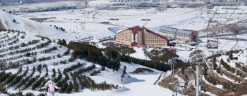 Cheap holidays in Erzurum