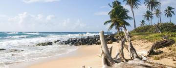 Familienhotels in Big Corn Island