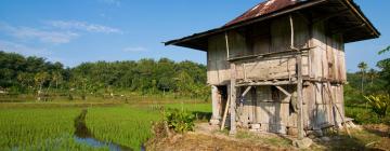 Penerbangan ke Bandar Lampung