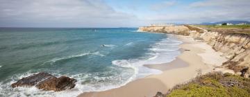 Pet-Friendly Hotels in Half Moon Bay