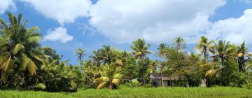 Things to do in Kannur