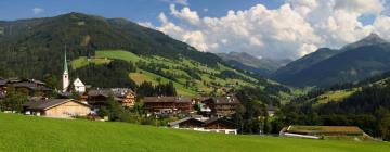 Activități în Alpbach