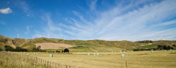 Flights from Fort Lauderdale to Palmerston North