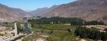 Things to do in Pisco Elqui