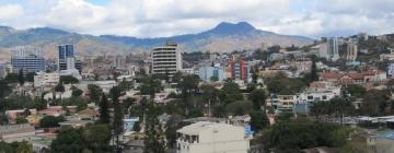 Budgethotell i Tegucigalpa