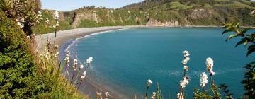 Cheap holidays in Ancud