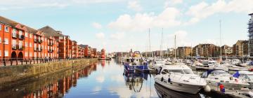 Pet-Friendly Hotels in Swansea