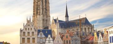 Things to do in Mechelen