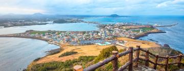 Flights from San Francisco to Jeju