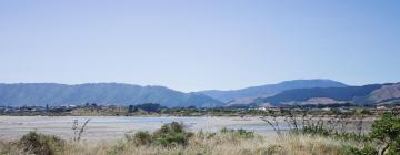 Levná dovolená v destinaci Paraparaumu