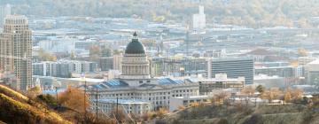 Flug á áfangastaðinn Salt Lake City