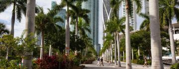 Hostels in Miami