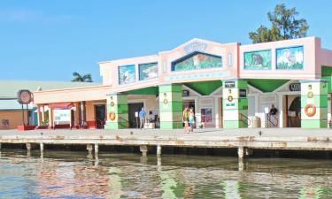 Aktiviti di Belize City