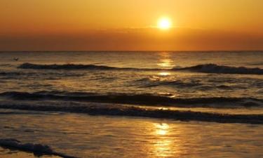 Se hva du kan gjøre i Surfside Beach