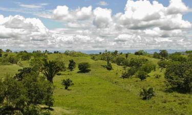 Hotels in La Dorada