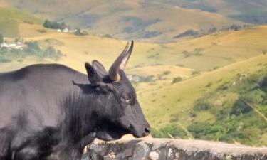 Flights to Juazeiro do Norte