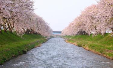 Properties with Onsen in Toyama