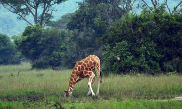 Vacances barates a Mbarara