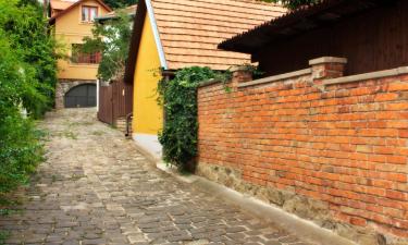 Things to do in Szentendre