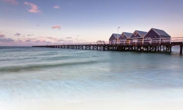 Hoteles que aceptan mascotas en Busselton