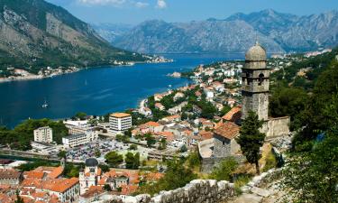 Apartments in Kotor