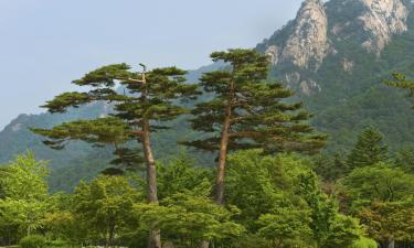 Cheap vacations in Sokcho