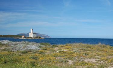 Cheap vacations in Olbia