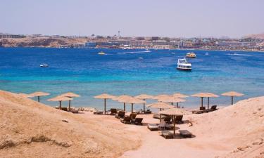 5-Star Hotels in Sharm El Sheikh