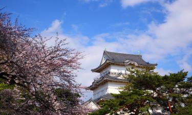 Things to do in Odawara