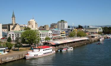 Cottages in Valdivia