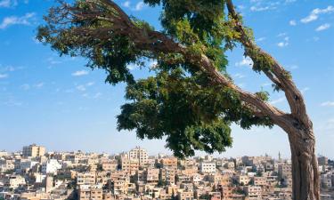 Flights from London to Amman