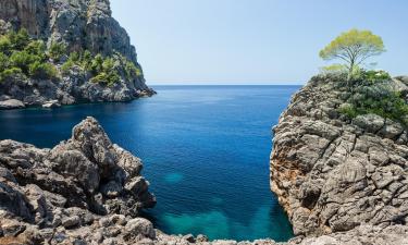 Things to do in Sol de Mallorca