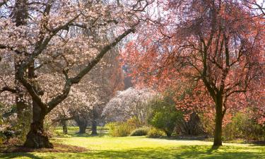 Motels in Christchurch