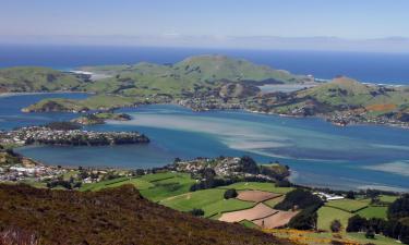 Se hva du kan gjøre i Dunedin