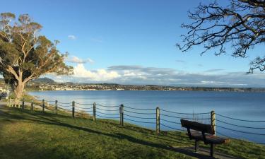 Flights from Detroit to Taupo