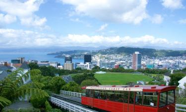 Flights to Wellington