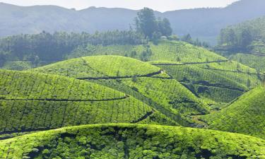 Homestays in Munnar