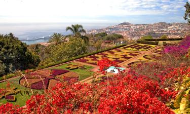 Vluchten van Rovaniemi naar Funchal