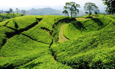 Vacaciones baratas en Bandung