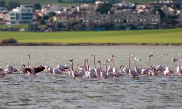 Flights from Birmingham to Larnaca