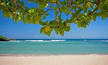 Things to do in Nusa Dua