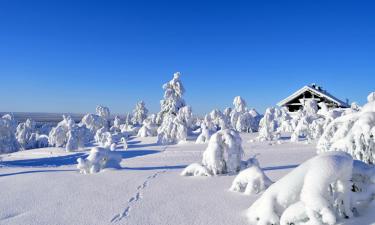 Cabins in Saariselka